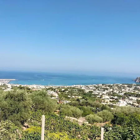 Dağ evi Little Ranch *